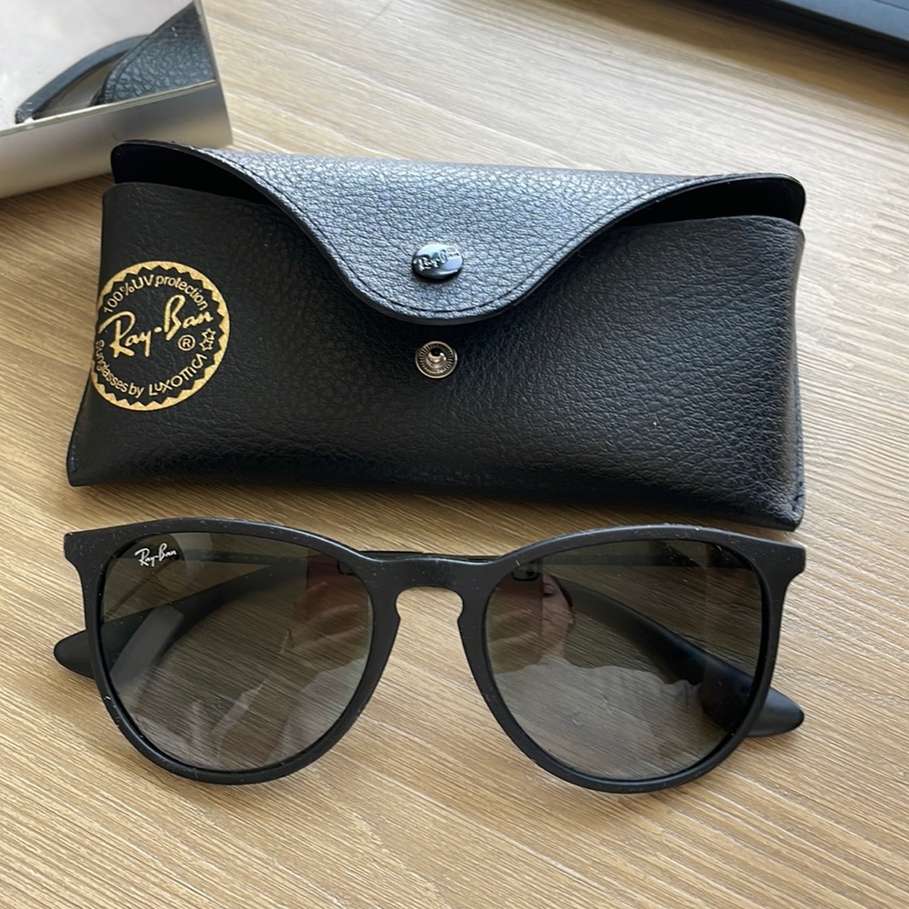 Ray-ban Erika Sunglasses black